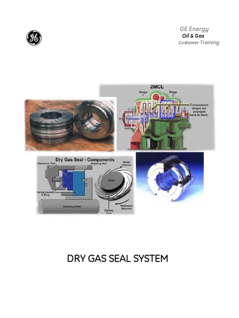 Dry Gas Seal Manual