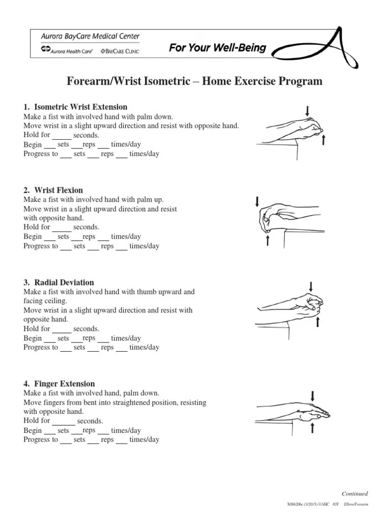 Wrist Isometric Exercise Program PDF Anatomical Terms Of Motion Hand