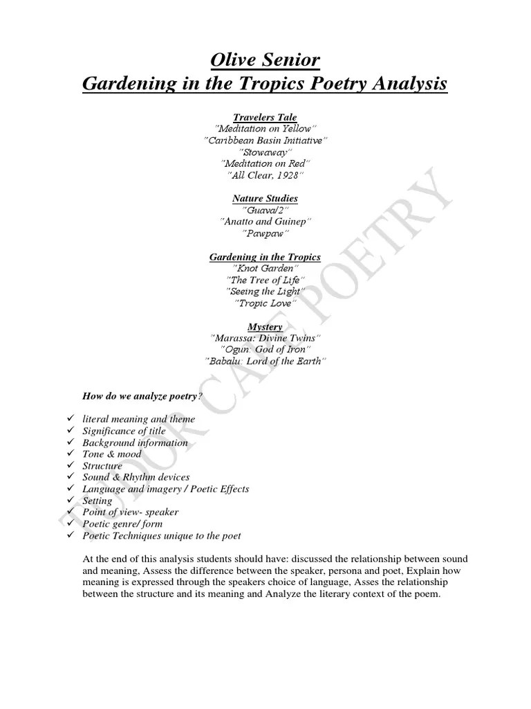 Olive Seniors Poetry Analysis Complilation PDF Tree Of Life Poetry