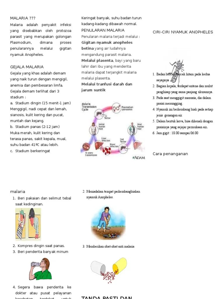 Leaflet Malaria | PDF