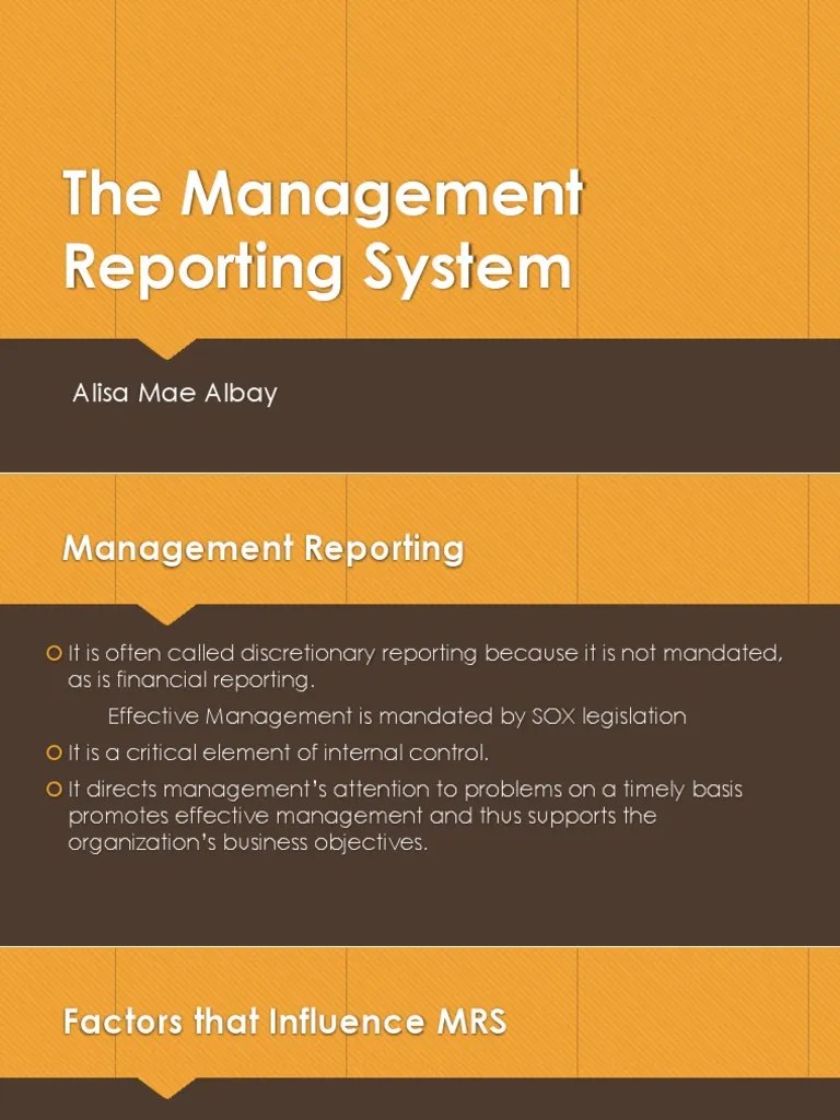 The Management Reporting System PDF Hierarchy Decision Making