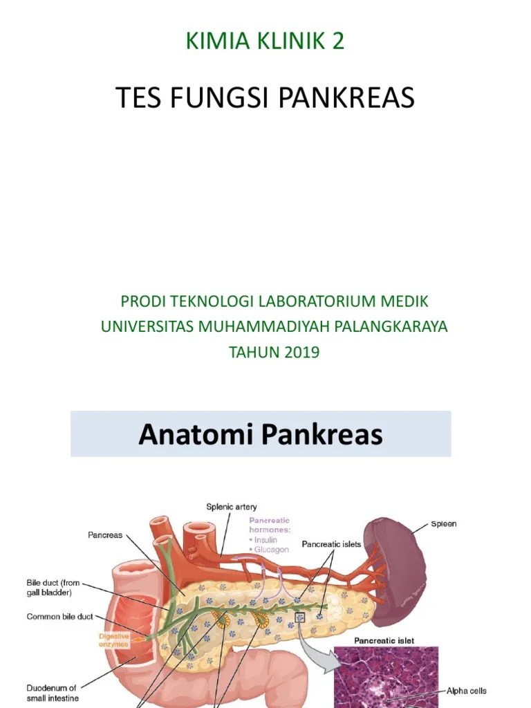Amylase &amp; Lipase-1 | PDF