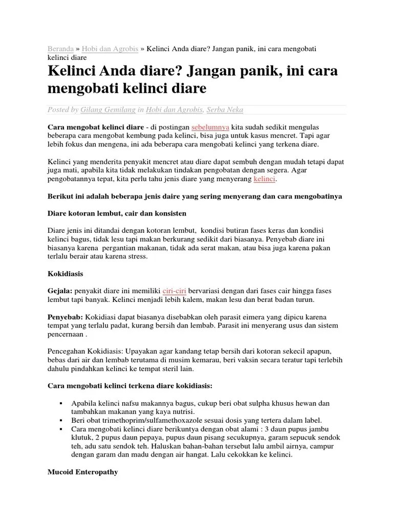 Ternak Kelinci | PDF