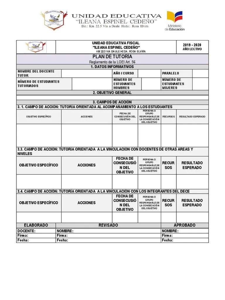 Formato de Plan de Accion Tutorial PDF Aprendizaje