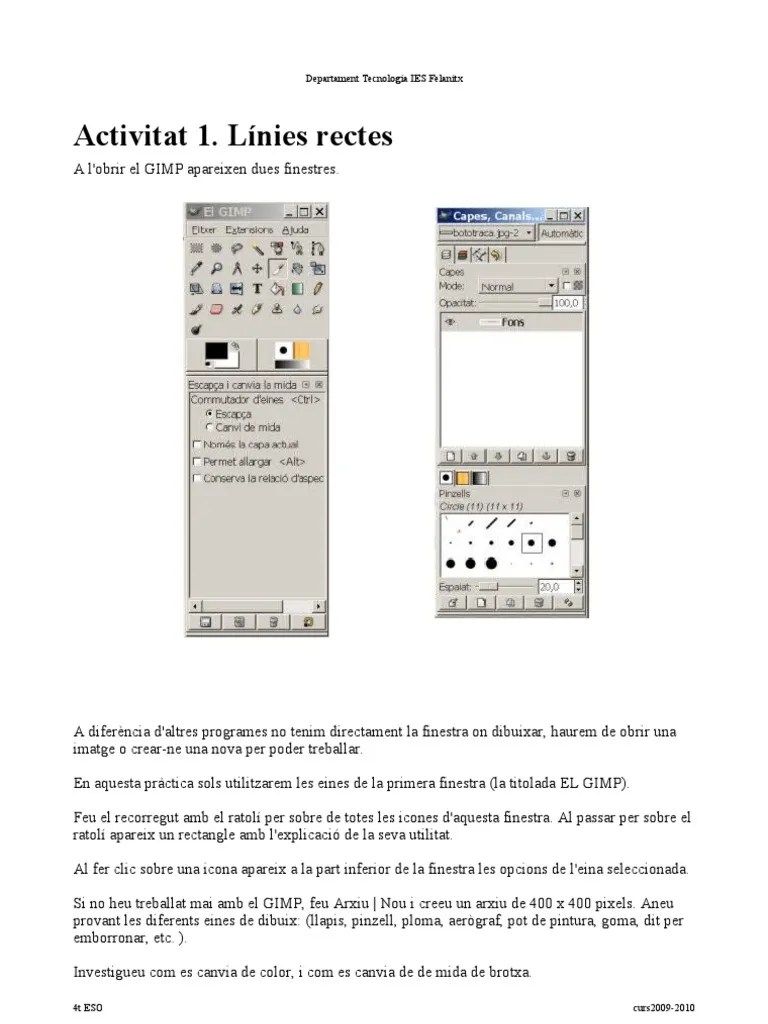 Manual Gimp PDF