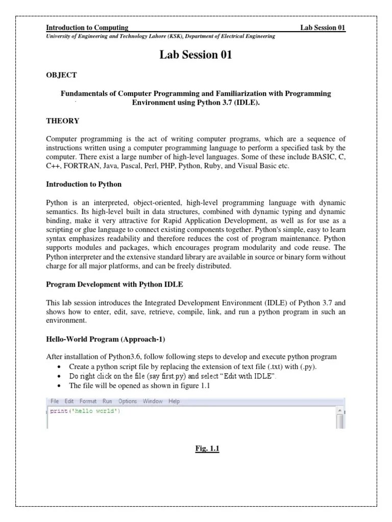 Introduction To Computing (Lab Manual 1 4) BY MUHAMMAD UMAR ASLAM