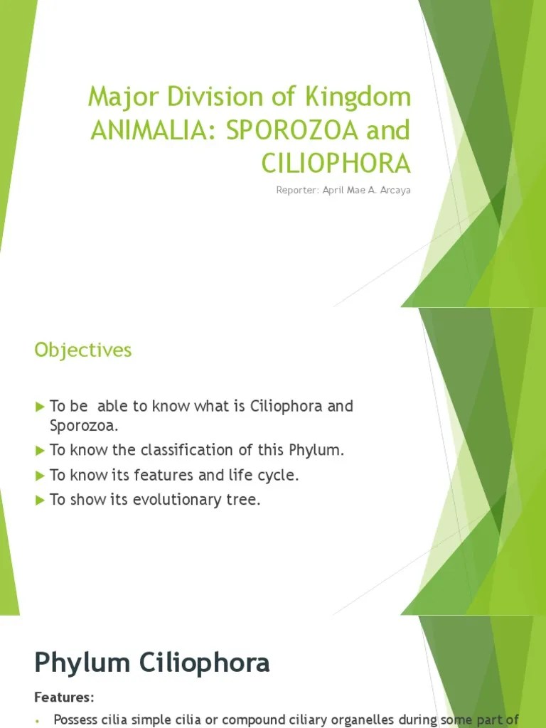 Major Division of Kingdom ANIMAliA PDF Plasmodium Biology