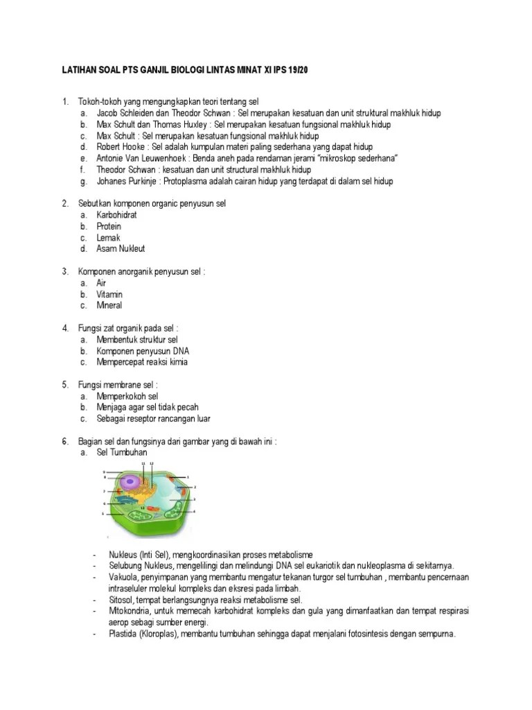 (Biologi) Latihan Soal PTS | PDF