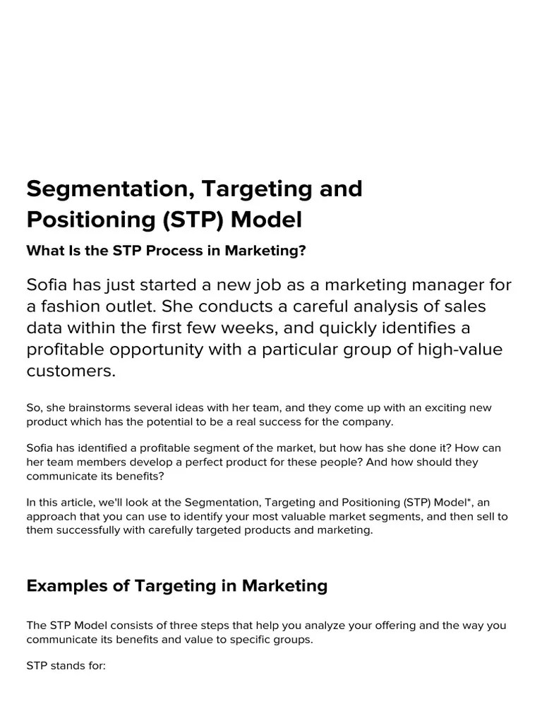 Segmentation, Targeting and Positioning Model PDF Market