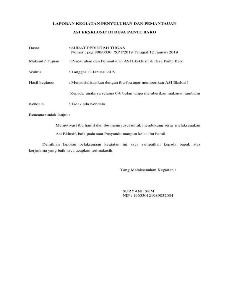 Laporan Asi Ekskliusif 2019 | PDF