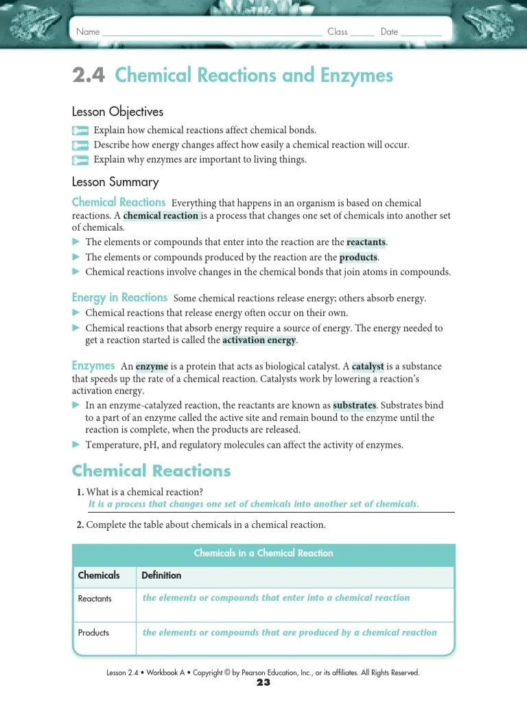 Enzyme Worksheet Answer key Chemical Reactions Active Site