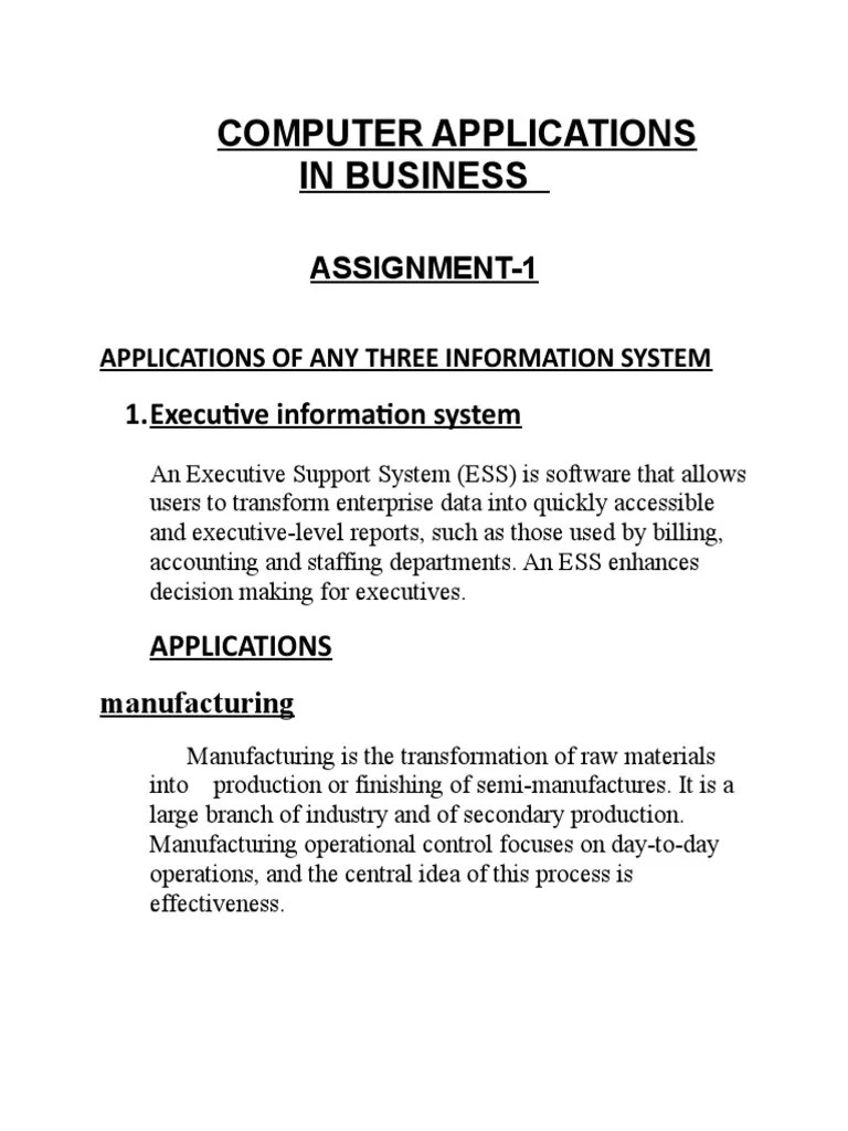Computer Applications in Business 1 PDF Decision Support System