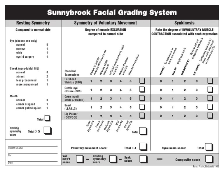 Facial Grading System PDF Face Medical Specialties