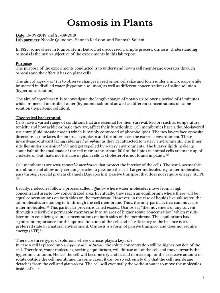 Experiment Osmosis in Plants PDF Osmosis Cell Membrane
