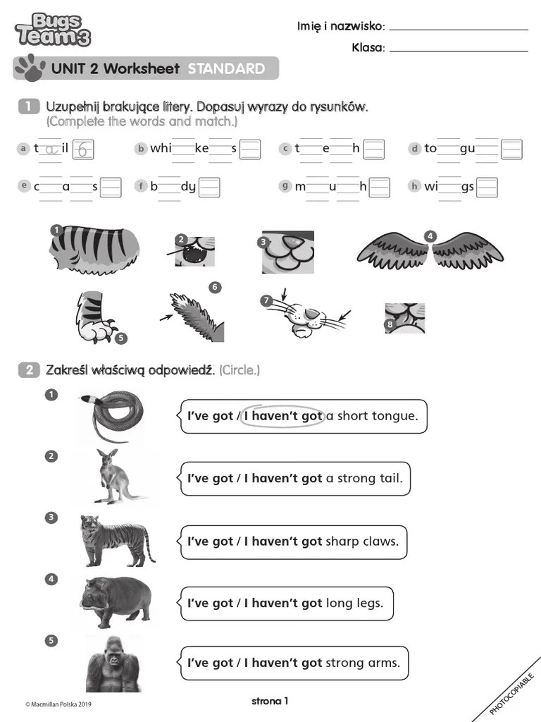 BugsTeam3 Unit 2 PB Worksheet Standard