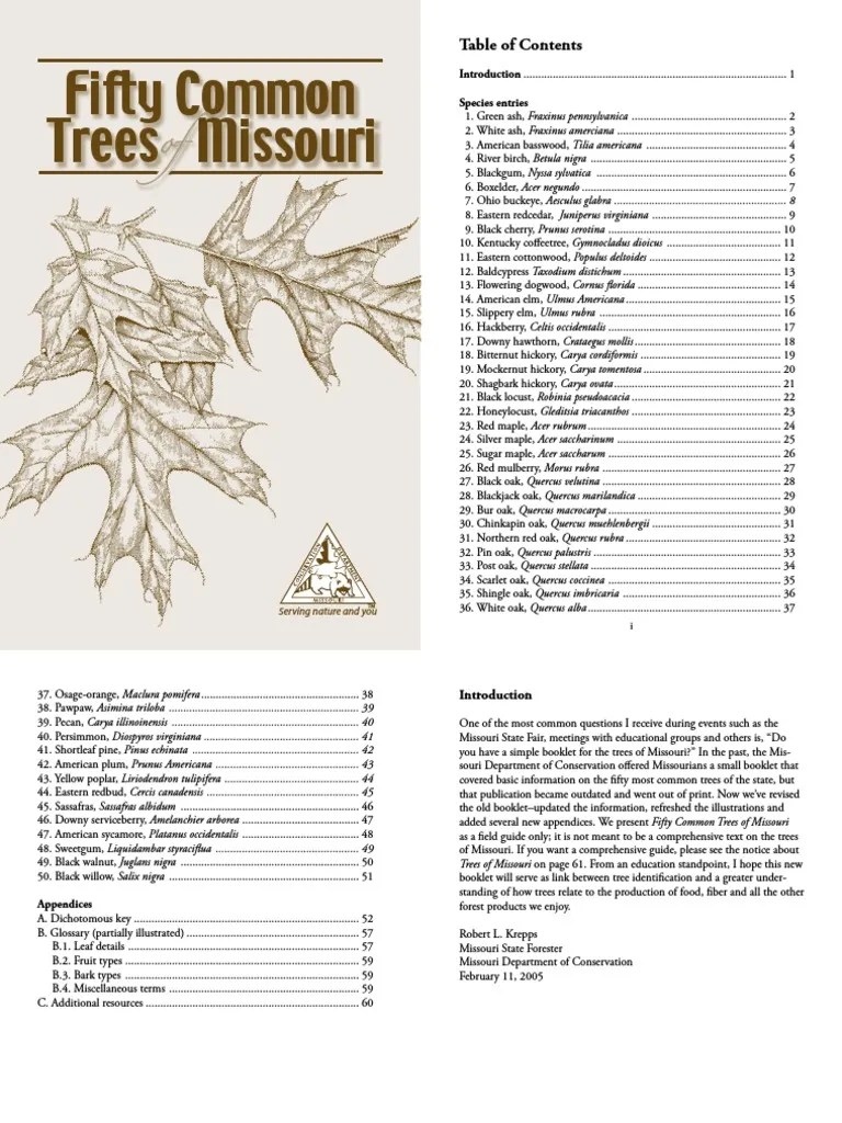 50 Common Trees of Missouri Trees Botany