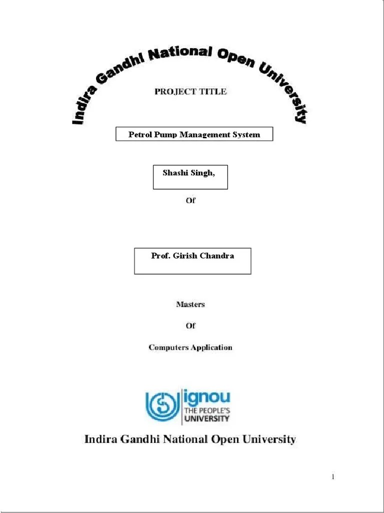 Petrol Pump Management System Project Report | PDF | Graphical User