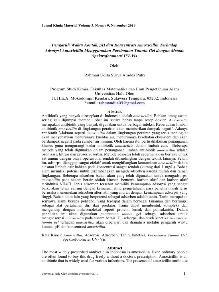 Jurnal Rahmaudita | PDF