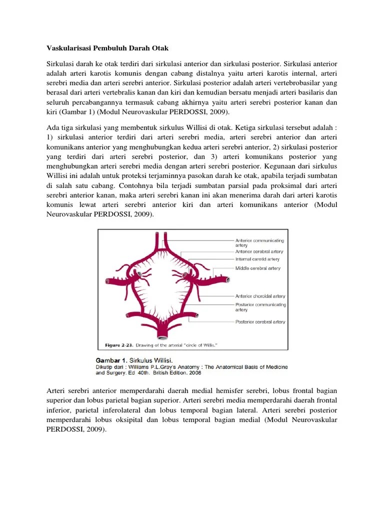 Vaskularisasi Pembuluh Darah Otak | PDF