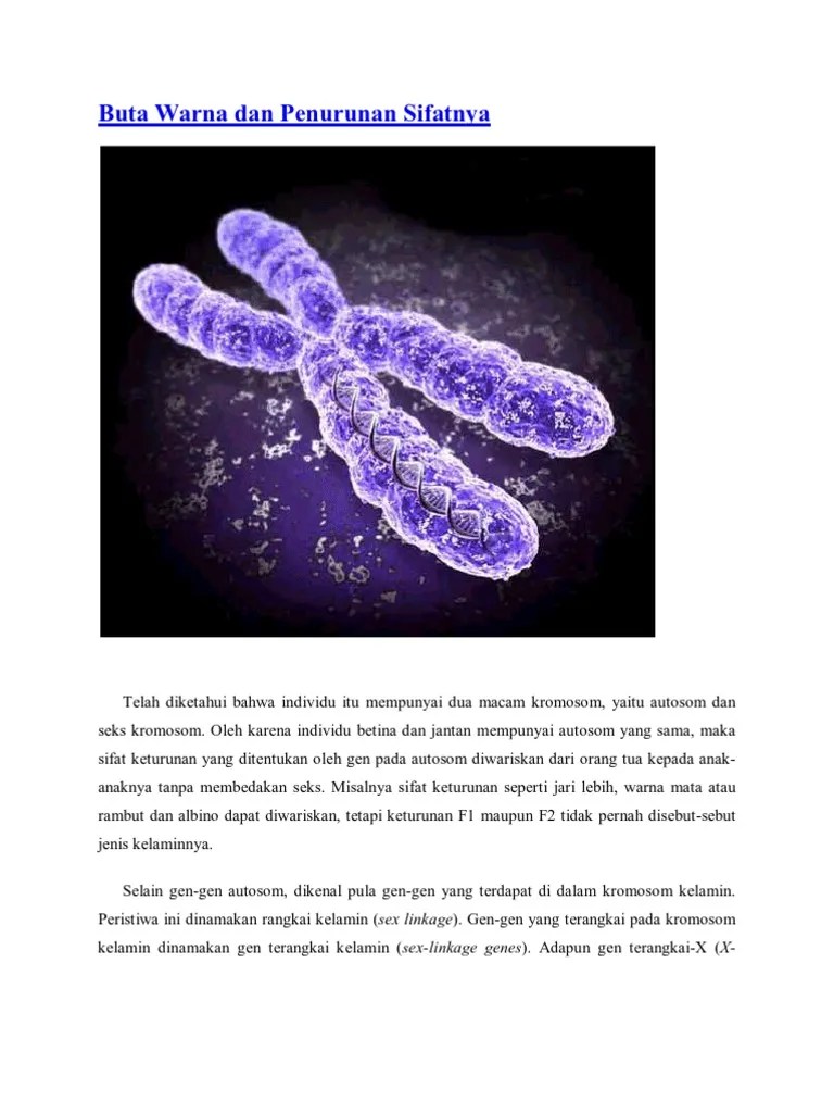 Buta Warna Dan Penurunan Sifatnya