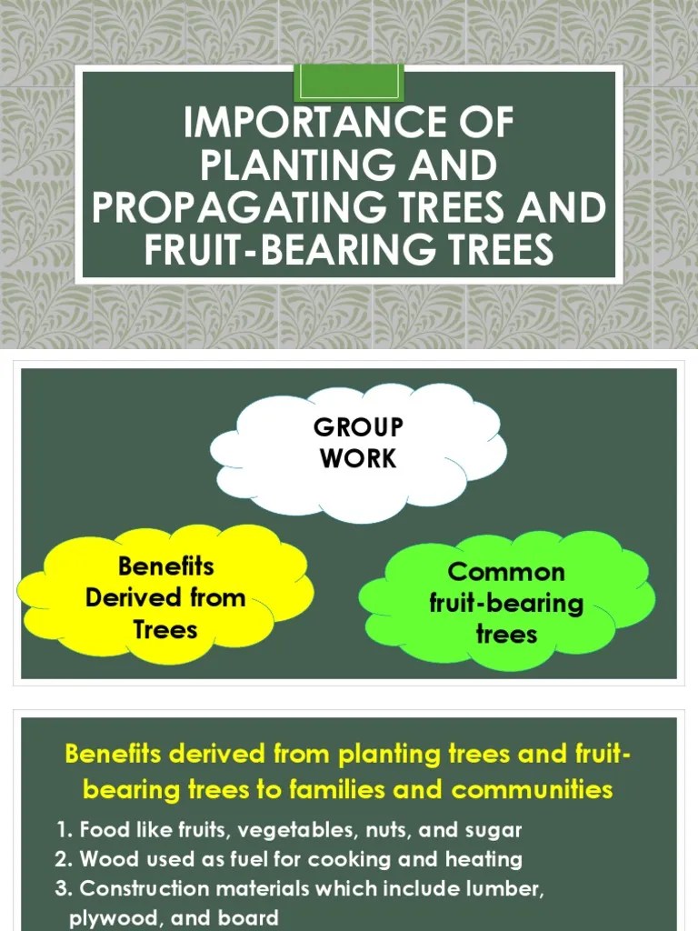 Importance of Planting and Propagating Trees and Fruitbearing