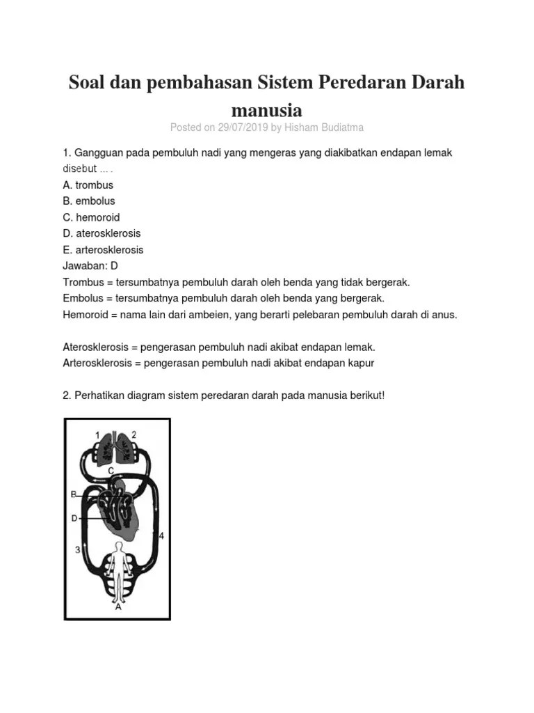 Soal Essay Tentang Peredaran Darah Pada Manusia – Lukisan