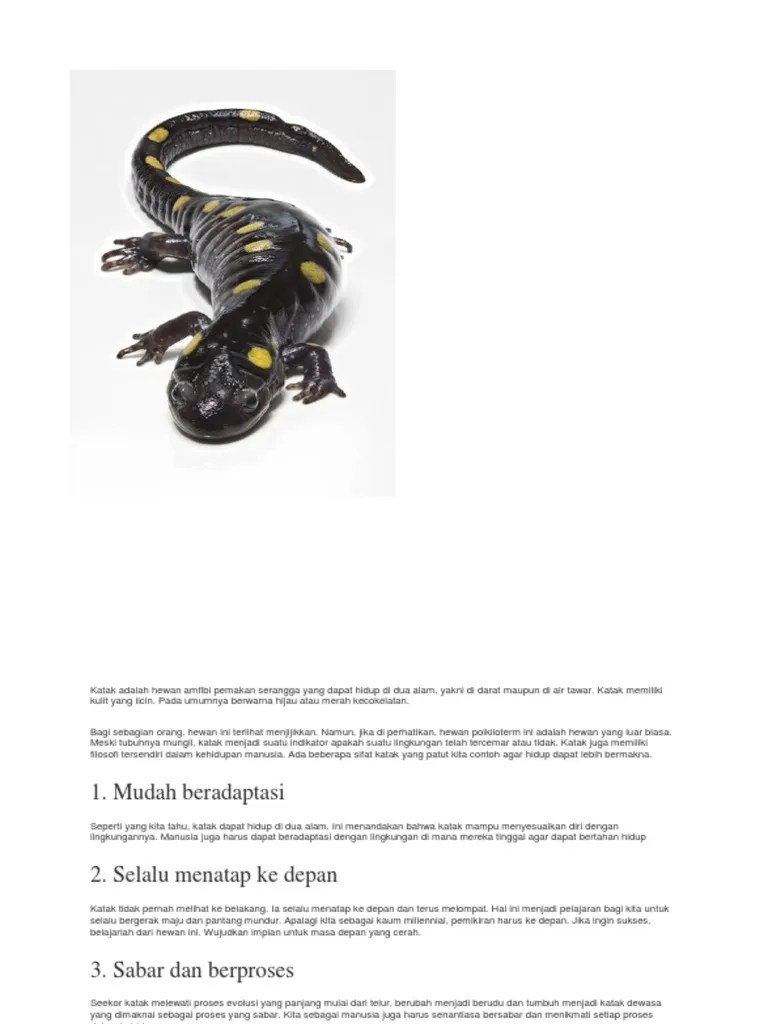 Katak Adalah Hewan Amfibi Pemakan Serangga Yang Dapat Hidup Di Dua Alam |  PDF