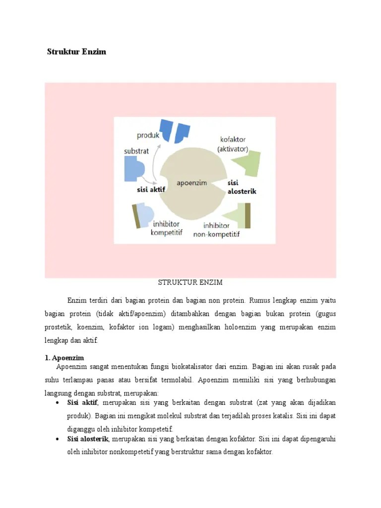 Struktur Enzim | PDF