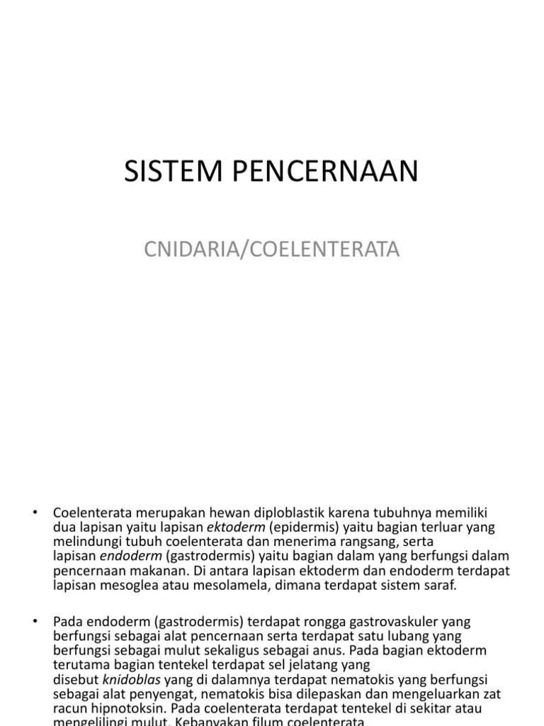Sistem Pencernaan Coelenterata | PDF