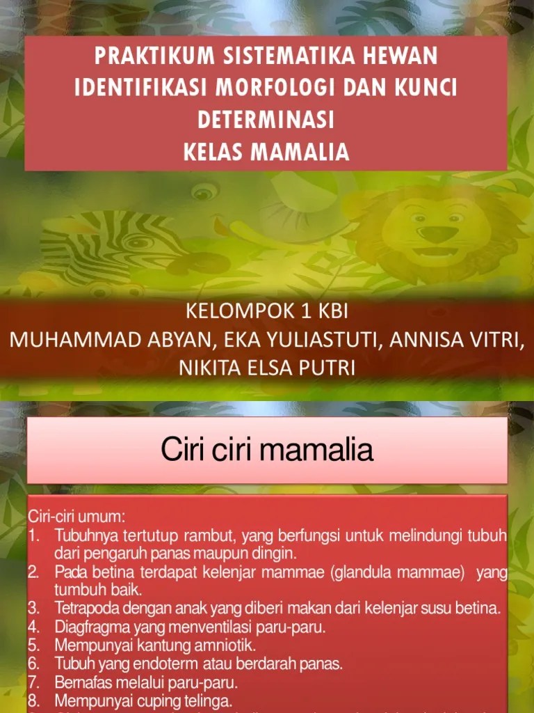 Mamalia 1 Kbi | PDF