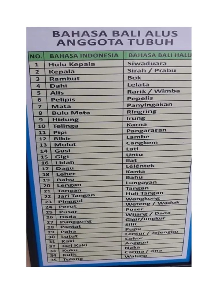 Nama Alus Anggota Tubuh | PDF
