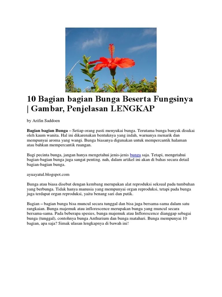 10 Bagian Bagian Bunga Beserta Fungsinya | PDF