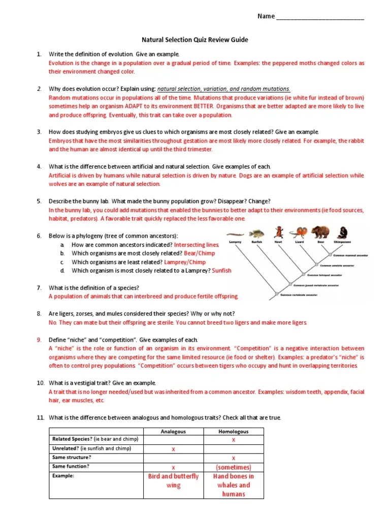 Natural Selection Quiz Review Guide Answer Key | PDF | Natural