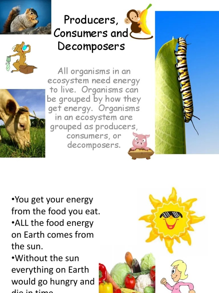 Producers Consumers And Notes