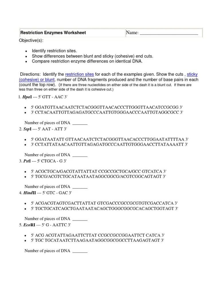 Microsoft Word - Restriction Enzymes Worksheet | PDF | Restriction