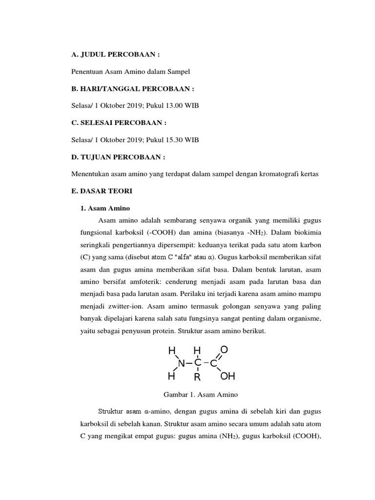 Lapres Asam Amino | PDF