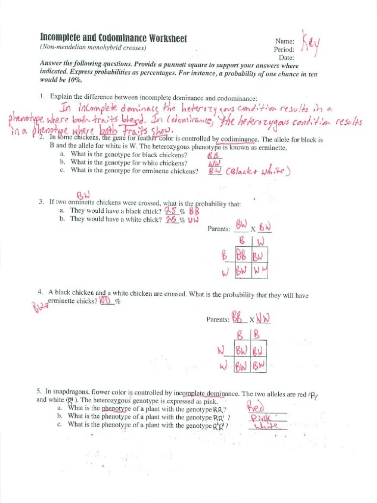 Square Dominance Worksheet Answer Key