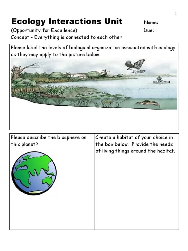 Ecology Interactions Unit Assessment Homework for Educators Download