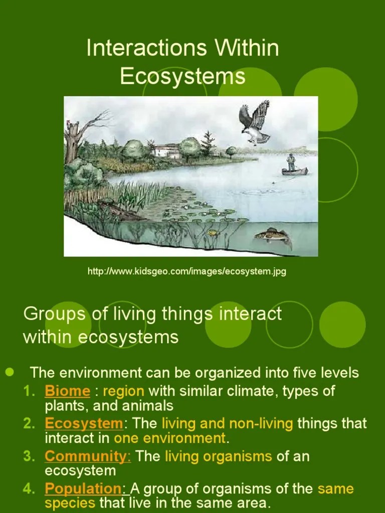 Interdependence Within Ecosystems: Exploring the Complex Relationships