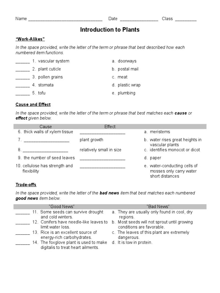 Introduction To Plant Structure and Function Worksheets | PDF | Plants