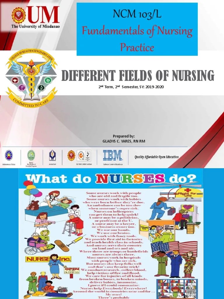 Different Fields of Nursing PDF Nursing Health Care