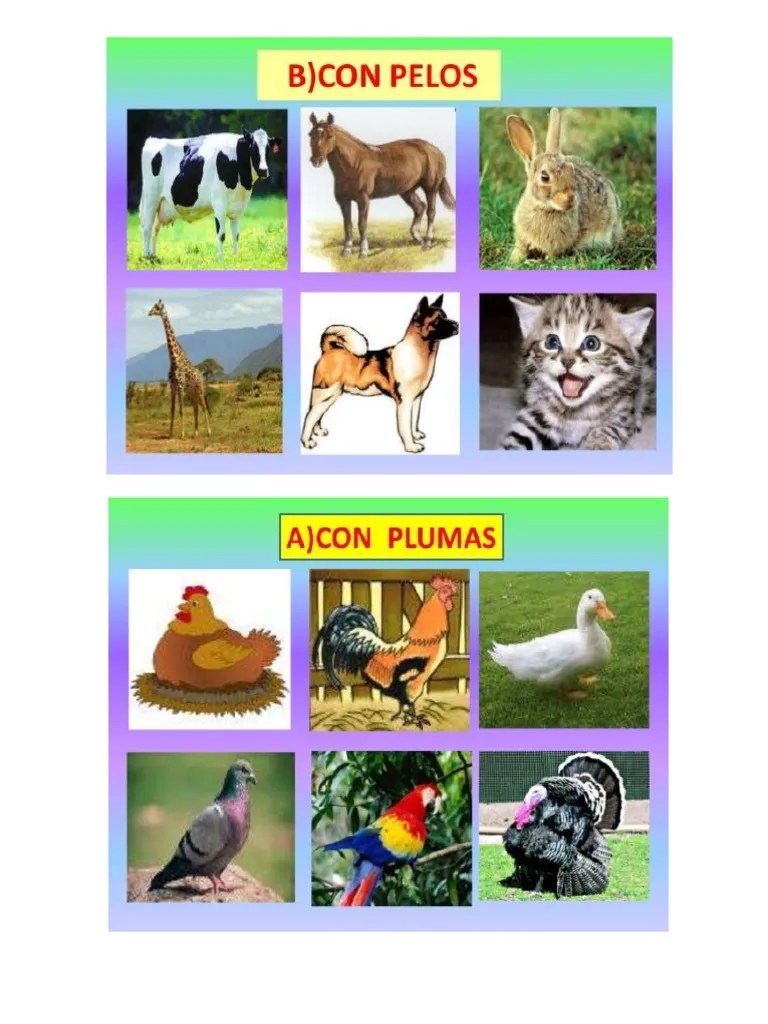 Animales con plumas, escamas y pelo