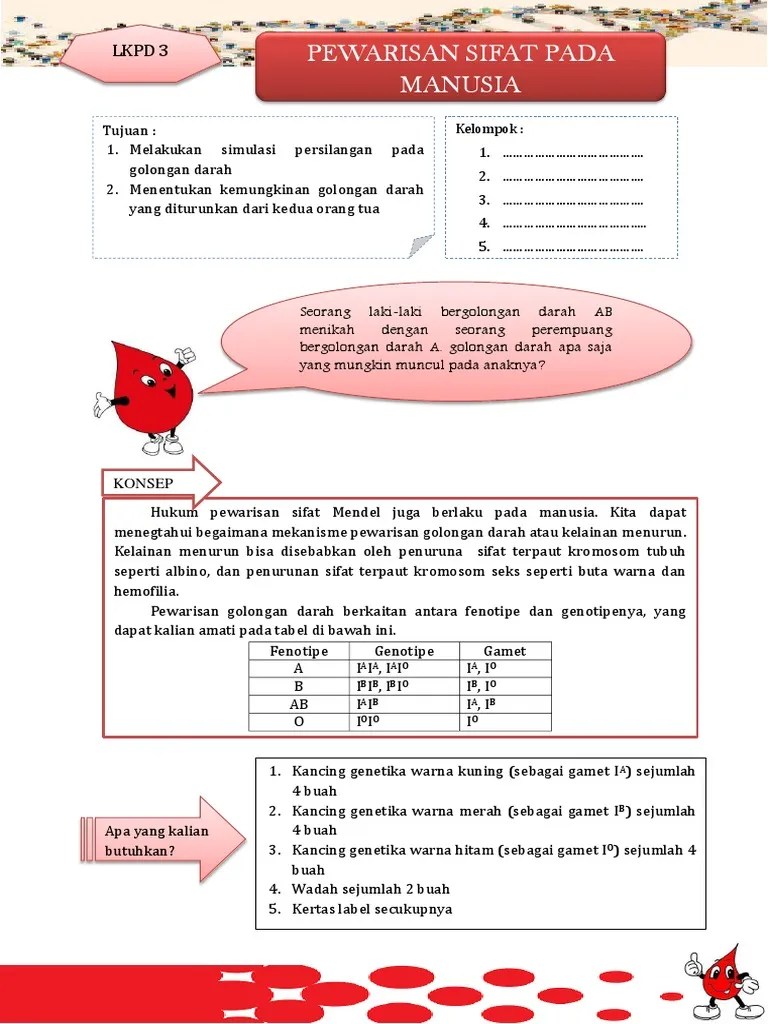 3 LKPD Golongan Darah | PDF