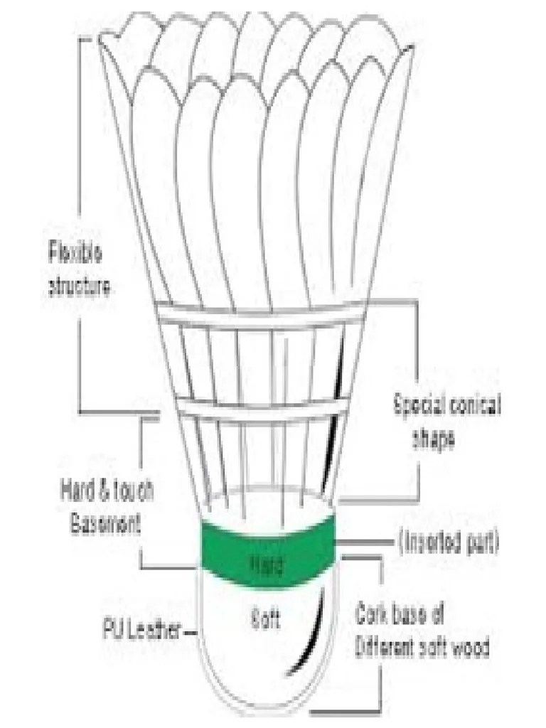 Parts of A Shuttlecock PDF