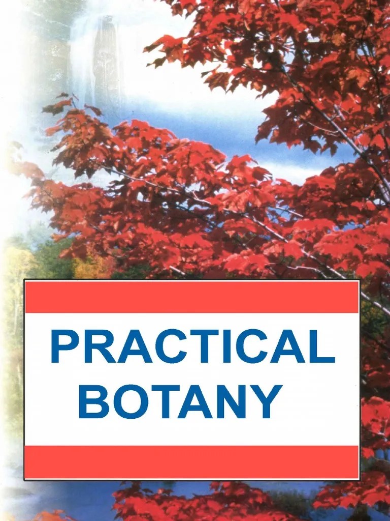 01 Practical Botany PDF