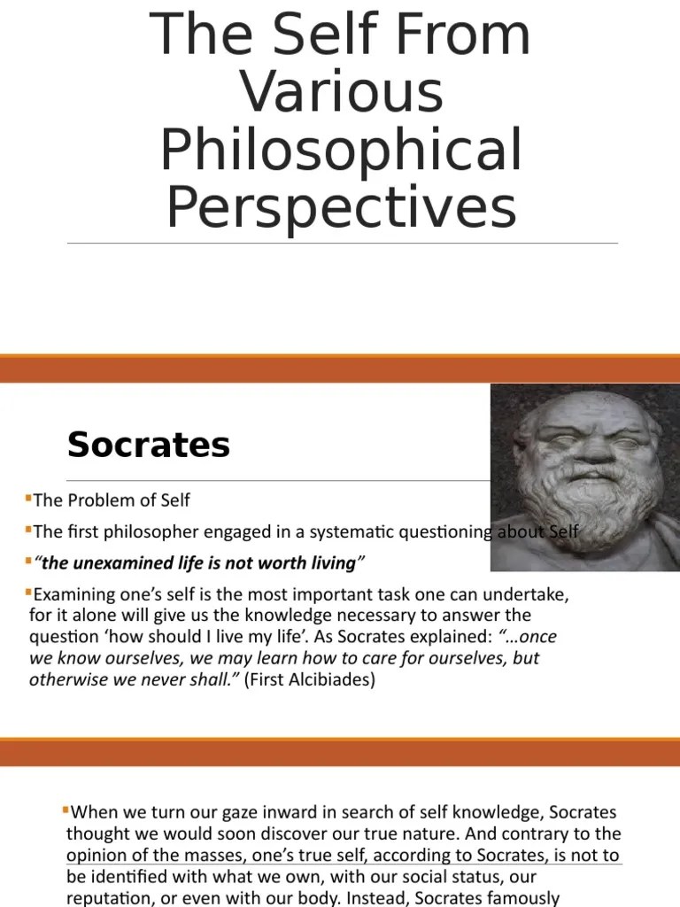 The Self From Various Philosophical Perspectives PDF Soul Socrates