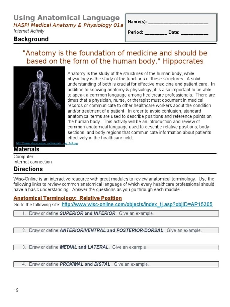 HASPI Using Anatomical Language | PDF | Anatomical Terms Of Location