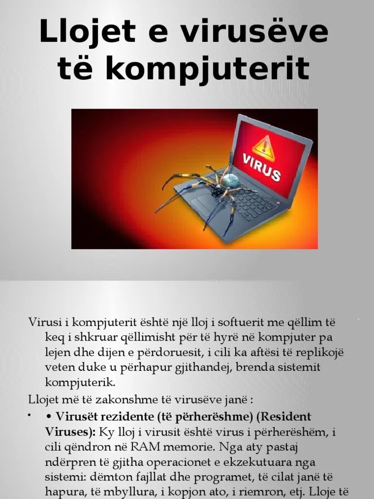 Llojet e Virusëve Të Kompjuterit PDF