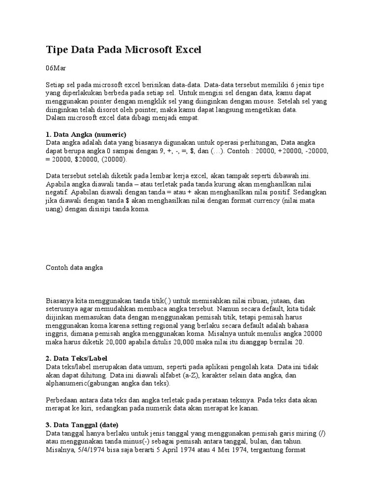 Tipe Data Pada MicrosoftExcel | PDF