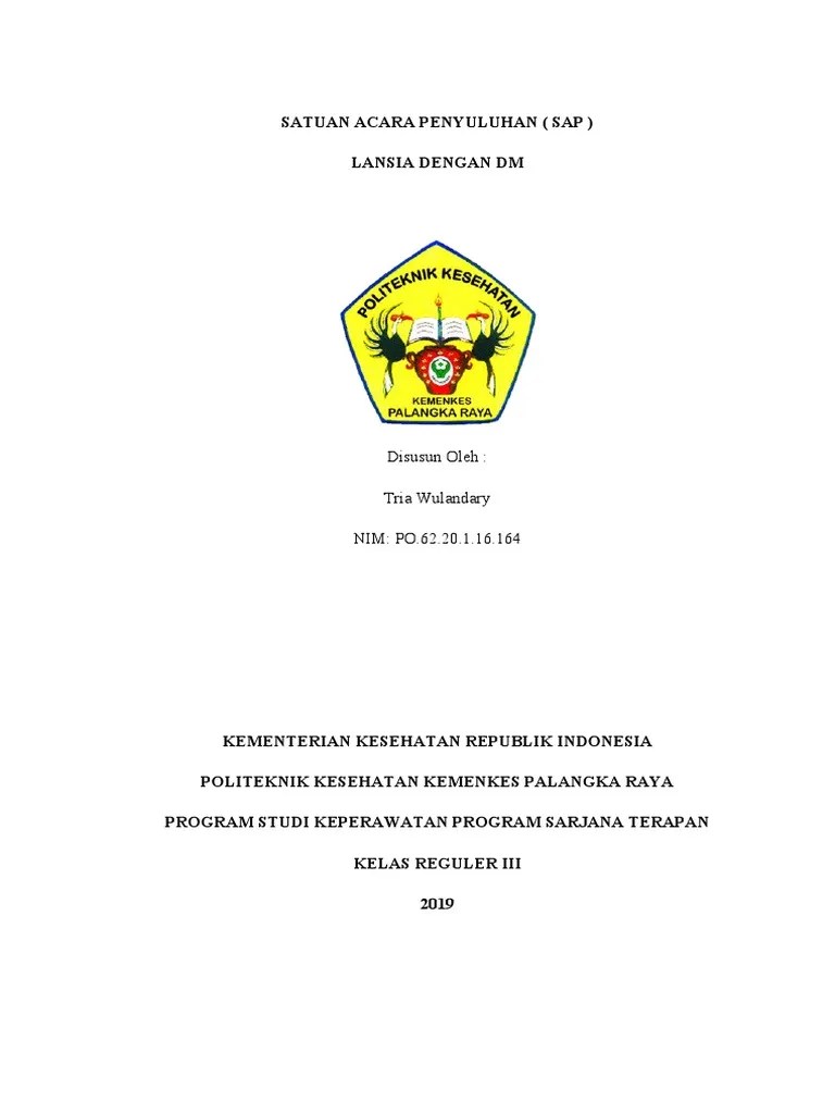 SAP DM Pada Lansia | PDF
